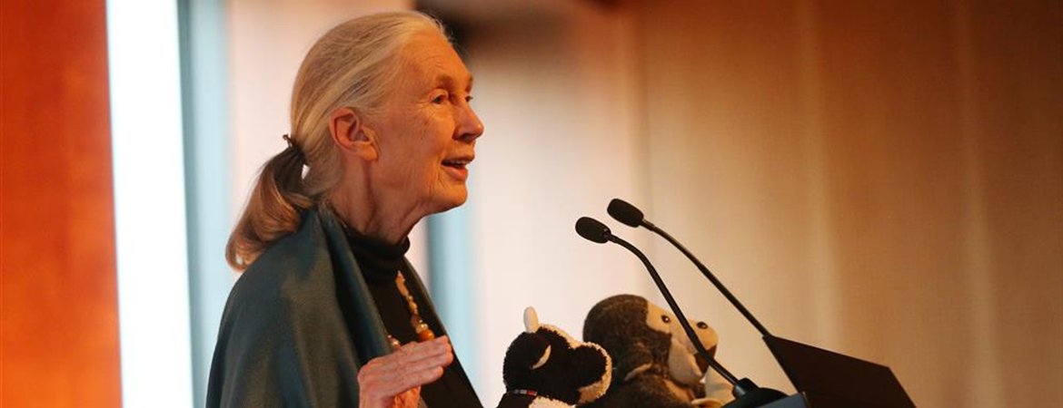 La doctora Jane Goodall
